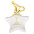 Star Glass Ornament